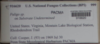 Image Associated With the Occurence